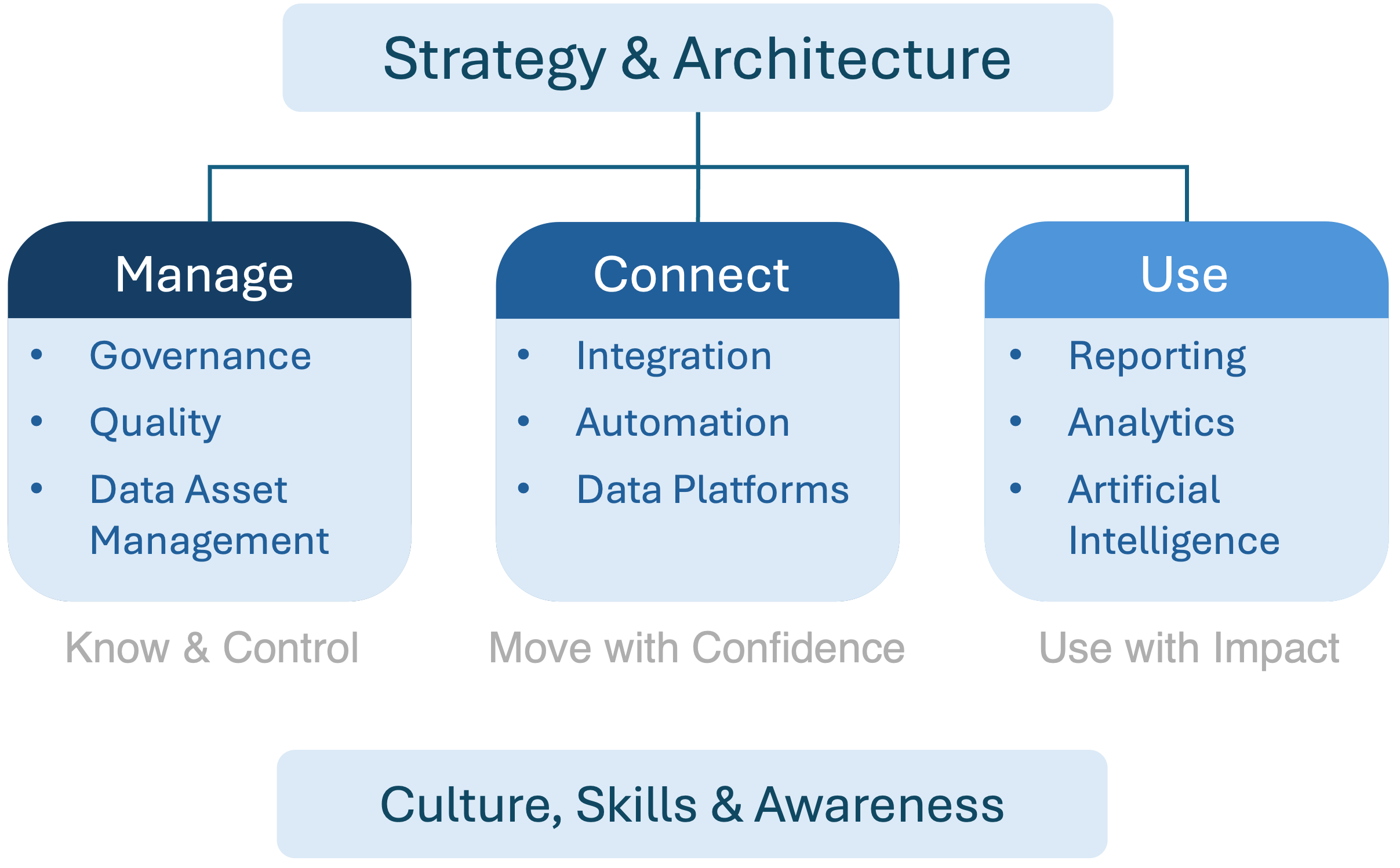 Data capability framework